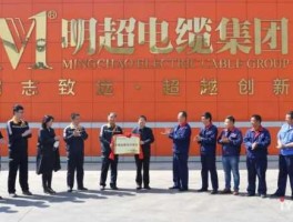 亨通电线电缆集团（亨通电线电缆集团老板叫什么）