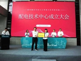 电科院 国网电科院是什么单位？