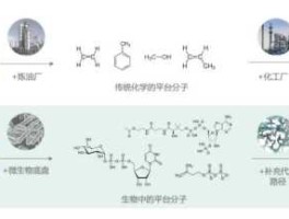 蓝晶微生物？蓝晶微生物成功的原因？