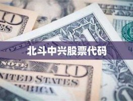 股票300101？北斗导航相关股票代码？