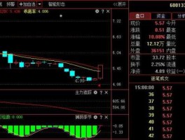 股票600133？什么是东湖高新？