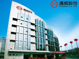 通威股份 通威股份成立有多少年了？