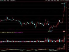 股票600121，煤炭化石能源概念？