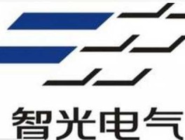 智光电气 智光电气盈利模式可持续吗？