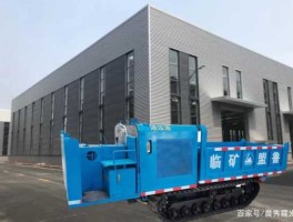 临矿集团（盟鲁公司怎么样？）