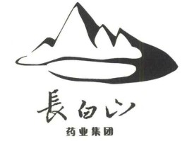 吉林药业 吉林长白山药业是修正吗？