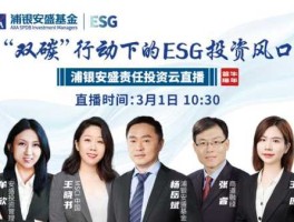 浦银安盛基金管理有限公司（浦银是中植系吗？）