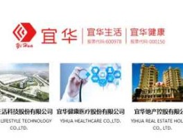 宜华地产（宜华健康医疗股份有限公司介绍？）