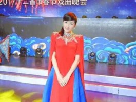 安徽卫视直播（安徽卫视春晚直播为何请方芳？）