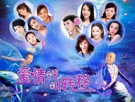 派格，《爱情呼叫转移》这部电影好看吗？