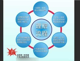 投保加成率？不投保加成是啥意思？