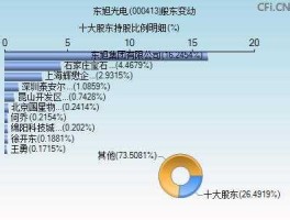 000413？000413东旭光电属什么板块？