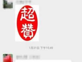 支持 强烈支持用什么词表达？