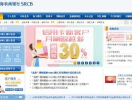 上海银行企业网上银行？农商银行企业网银无法输入密码？