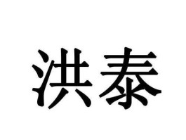 洪泰，洪泰历史人物是谁的原型？