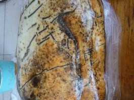 唐河彩石，唐河玉石什么地方能找到？