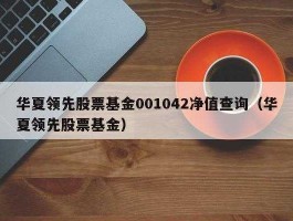 基金净值001463（基金净值001042）