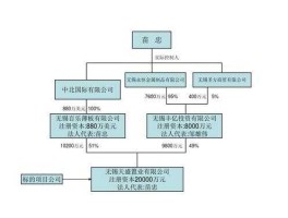 股权结构图？哪里可以查公司的股权结构？