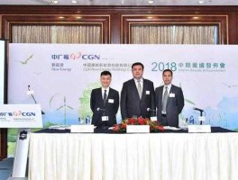 中国广核（中国广核和中国广核新能源是一家公司吗？）