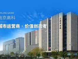 南京高科？南京高科股份有限公司产品优势？