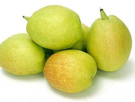 香梨股份 香梨股份做什么的？