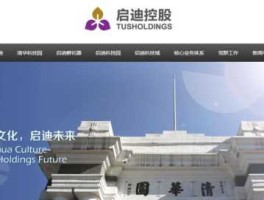 启迪控股股份有限公司 启迪设计集团是国企吗？