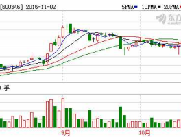 股票600346，存储芯片颗粒龙头股？