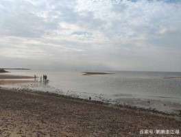 营口（营口旅游哪个岛好？）