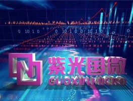 紫光国微股票（紫光国微怎么样？）