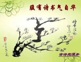 了乳指掌吧？范仲淹有什么古诗？