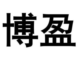 博盈 博盈加油站是什么油？
