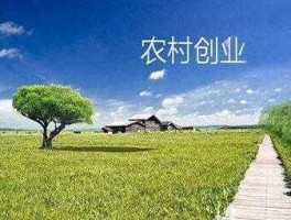 打工者如何创业，如何在农村创业？