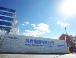 英利集团有限公司（英利能源中国有限公司是国企吗？）
