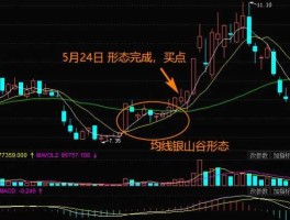 000752 000752京东方是什么公司？