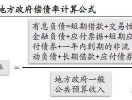 地方融资平台，中国地方债务违约会有什么风险？
