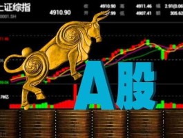 300857，it行业上市企业龙头？