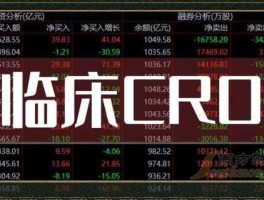 002370股票，ripping是什么公司？