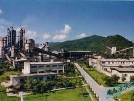 福建水泥股吧？福建水泥重组会是真的吗？