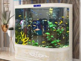 聊城送购吧 聊城市哪有卖鱼缸的？