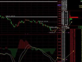 688318（指南针股票为什么大跌？）
