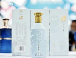 海银系（贵酿酒业有限公司是上市公司吗？）
