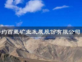 矿产投资（西藏众鑫矿业投资有限公司最近公告？）