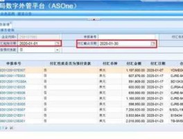 国家外管局数字外管平台，如何查询外汇剩余额度？