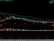 股票600020，600020中原高速历史最高是多少？