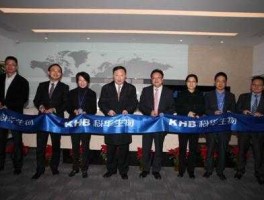 上海科华生物（研发科创板软件的公司有哪些？）