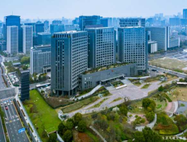 大杭州网，有哪些公司的总部是在杭州的？