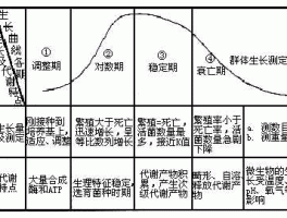 繁衍 细菌生长繁殖的四个阶段？