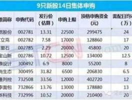 002276股票？2009年新上市的股票有哪些？