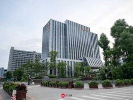 深圳东部开发集团（三只羊集团东部中心多大？）