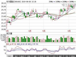 300166股票？北京东方国信怎么样？